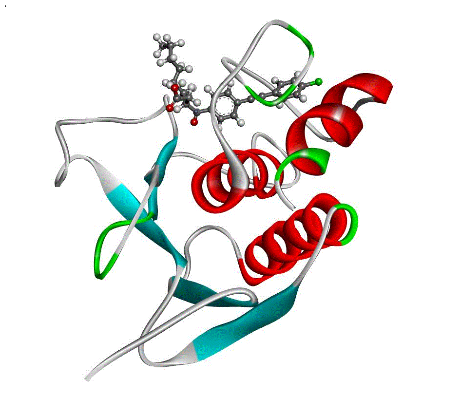 Structure Of Protein Gif